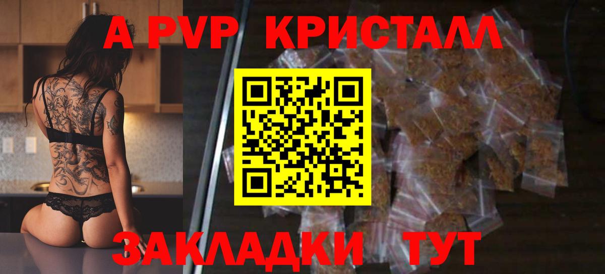 A PVP СК КРИС Моршанск