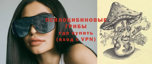 spice Горнозаводск