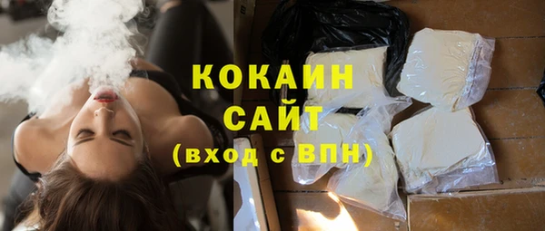 ГАЛЛЮЦИНОГЕННЫЕ ГРИБЫ Горно-Алтайск