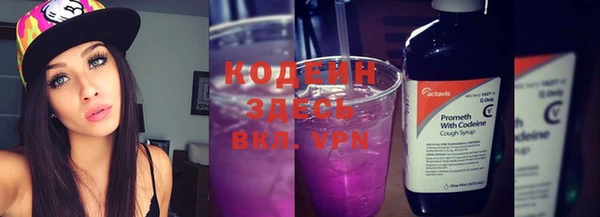 ГАЛЛЮЦИНОГЕННЫЕ ГРИБЫ Горно-Алтайск