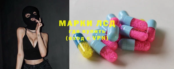ГАЛЛЮЦИНОГЕННЫЕ ГРИБЫ Горно-Алтайск