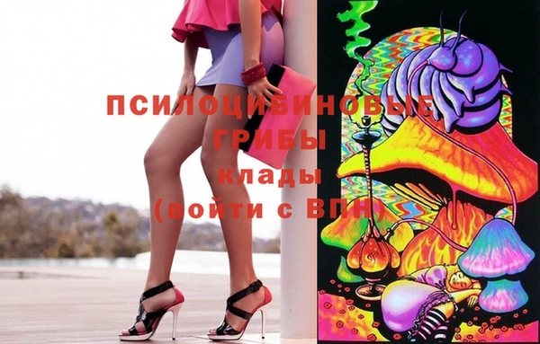 spice Горнозаводск