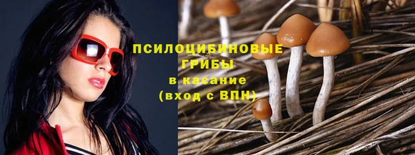 мет Горняк