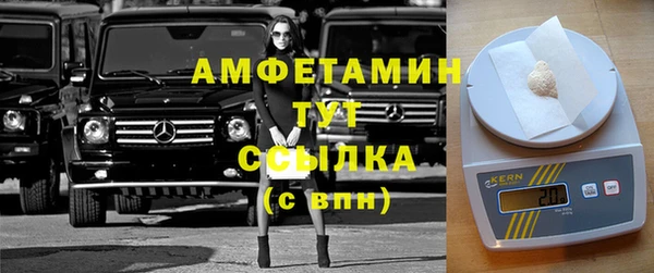 ГАЛЛЮЦИНОГЕННЫЕ ГРИБЫ Горно-Алтайск