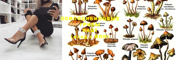 spice Горнозаводск