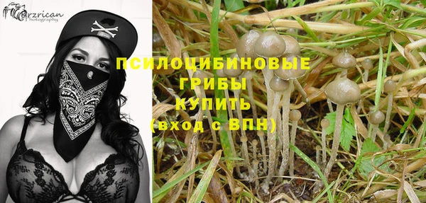 ГАЛЛЮЦИНОГЕННЫЕ ГРИБЫ Горно-Алтайск