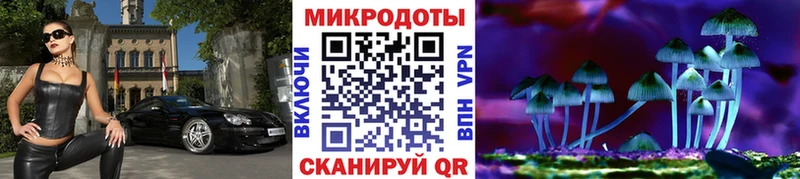 Псилоцибиновые грибы MAGIC MUSHROOMS  наркотики  Моршанск 