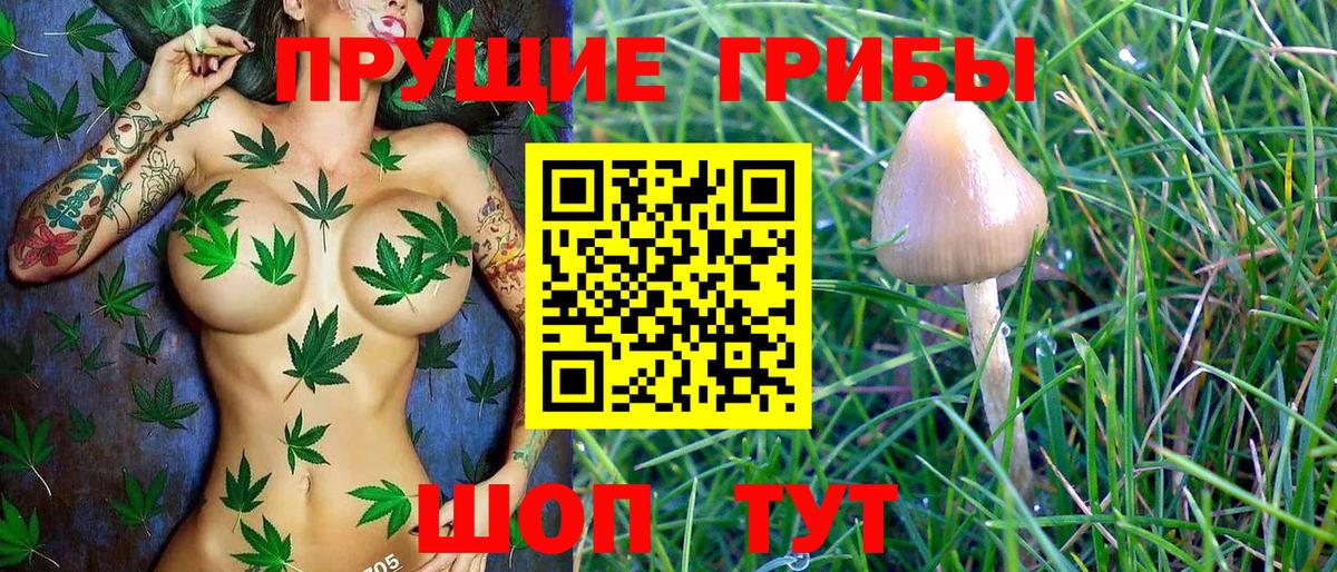 Галлюциногенные грибы MAGIC MUSHROOMS Моршанск