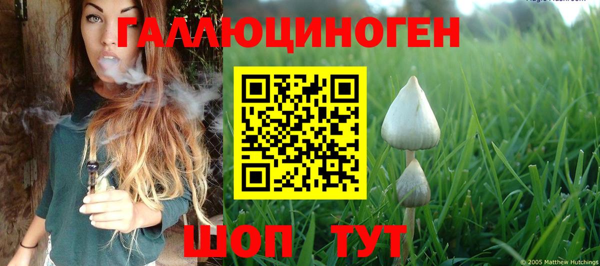 Галлюциногенные грибы Magic Shrooms  Моршанск 